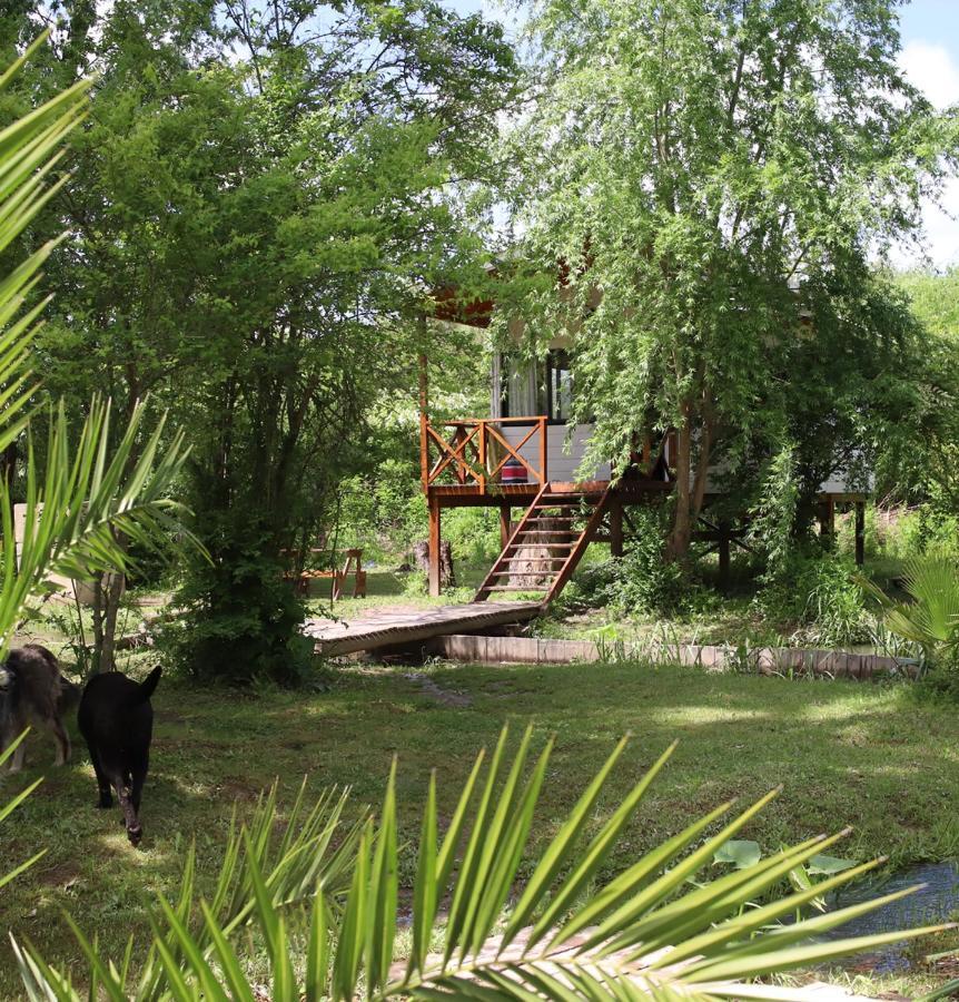 Viva La Pepa Cabanas Al Rio. Villa Tigre Exterior photo